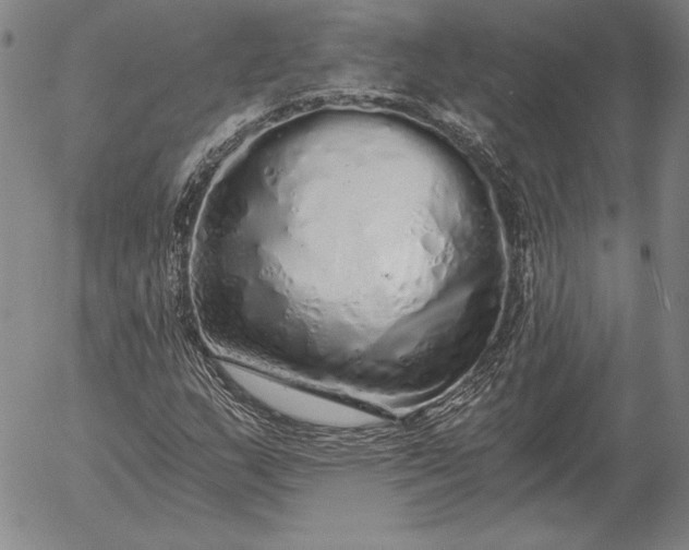 X0000056031159200509021814