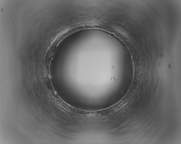 X0000056031160200509021814