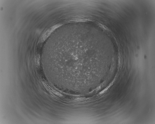 X0000056031161200509021814