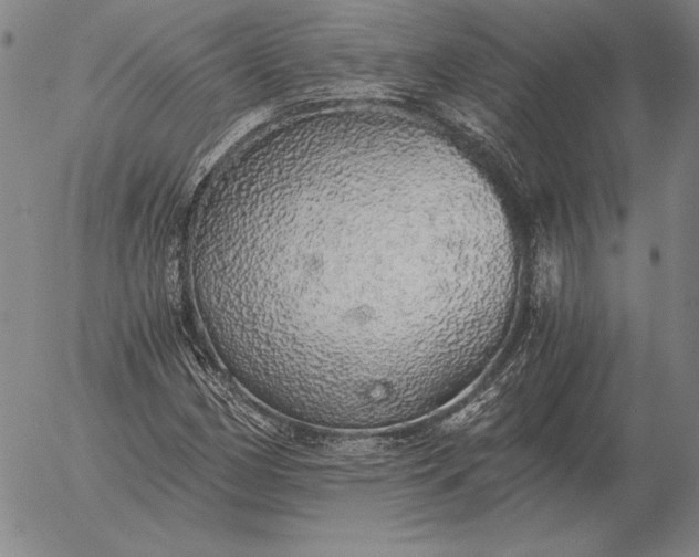 X0000056031162200509021814