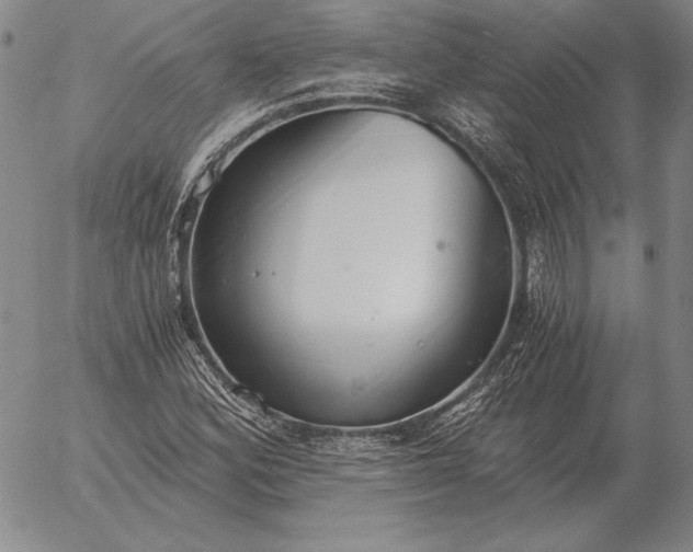 X0000056031164200509021814