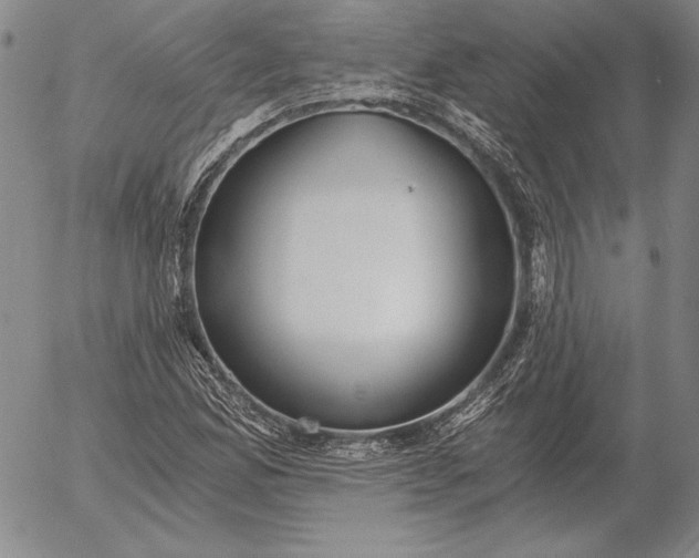 X0000056031165200509021814