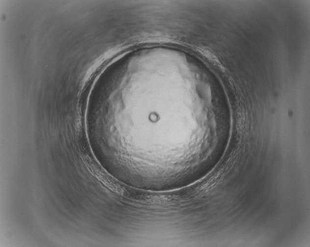 X0000056031167200509021814