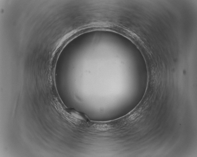 X0000056031168200509021814