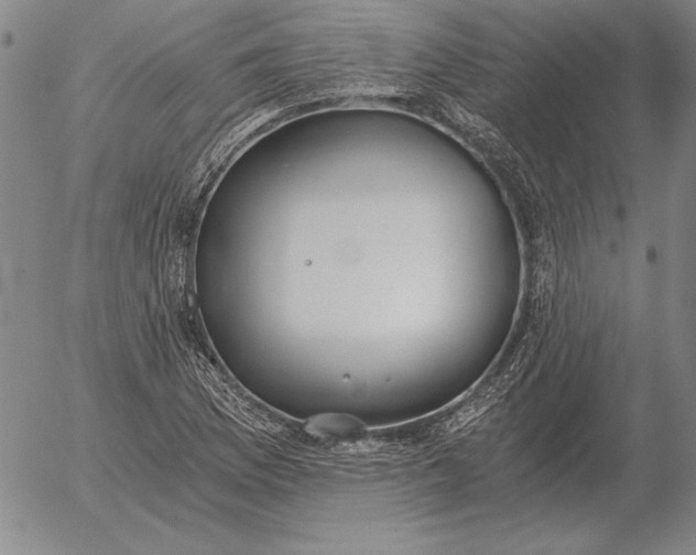 X0000056031169200509021814