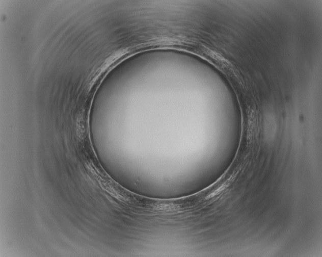 X0000056031170200509021814