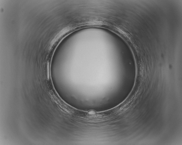 X0000056031171200509021814