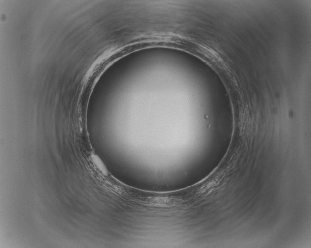 X0000056031172200509021814