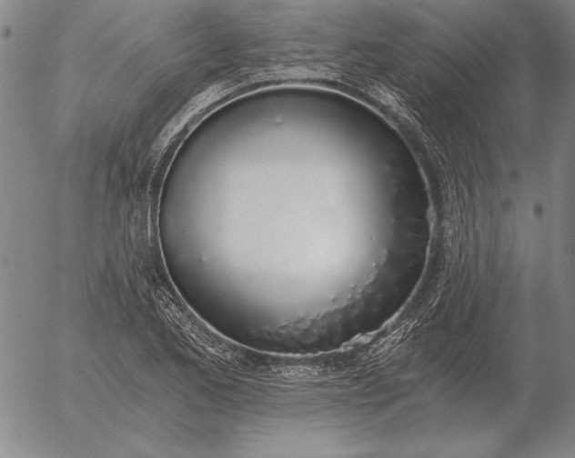 X0000056031173200509021814