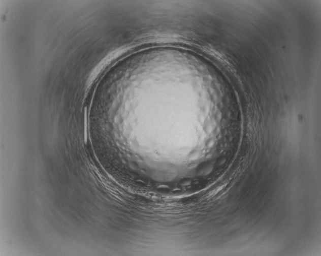 X0000056031175200509021814