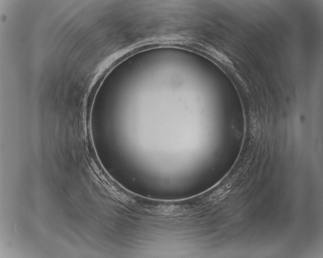 X0000056031176200509021814