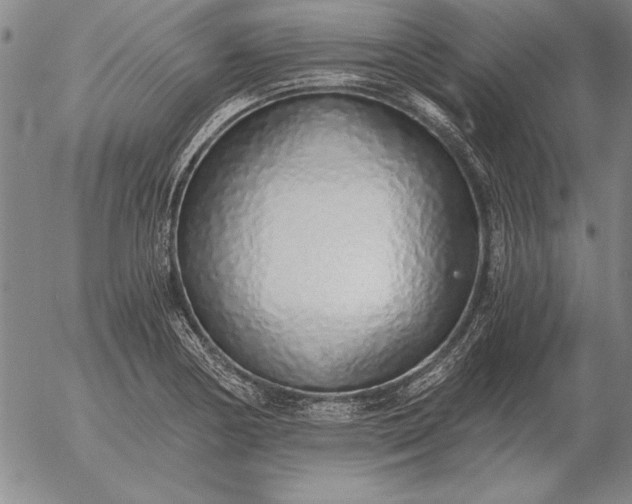 X0000056031178200509021814