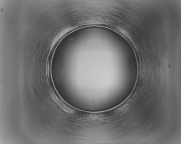 X0000056031179200509021814