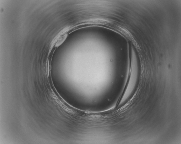 X0000056031180200509021814