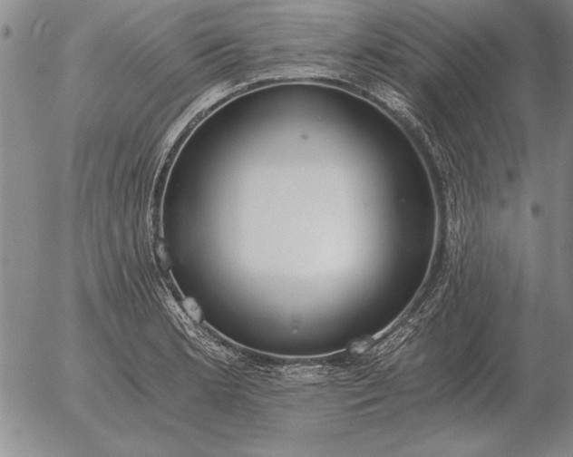 X0000056031181200509021814