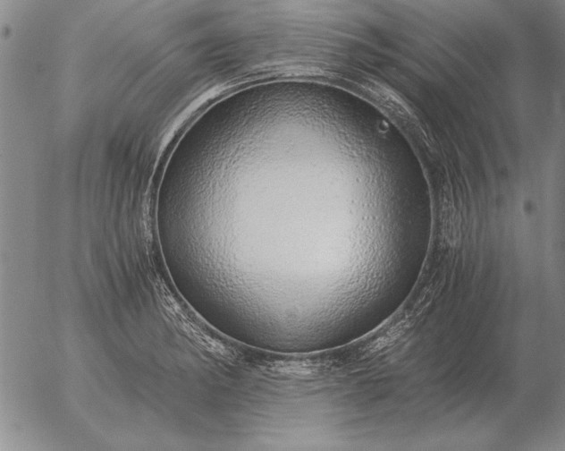 X0000056031182200509021814