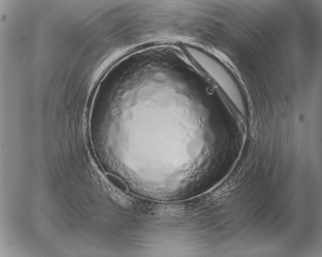 X0000056031183200509021814