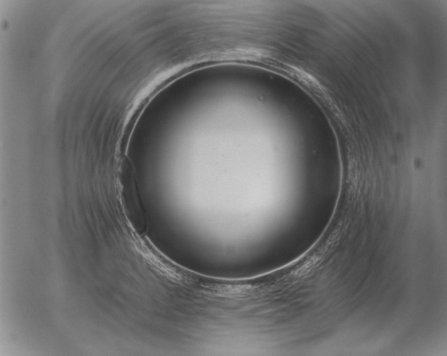 X0000056031184200509021814