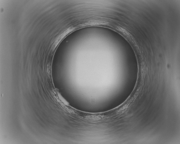 X0000056031185200509021814