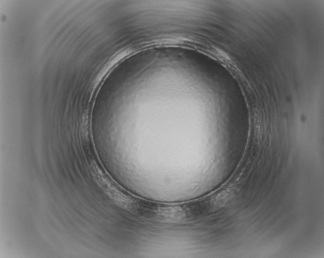 X0000056031186200509021814