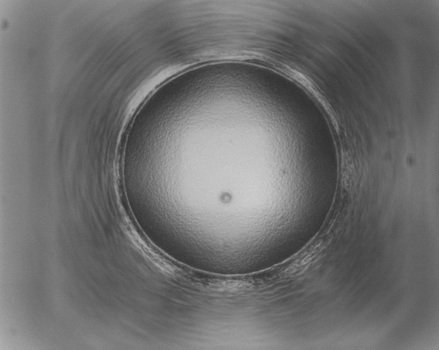 X0000056031187200509021814