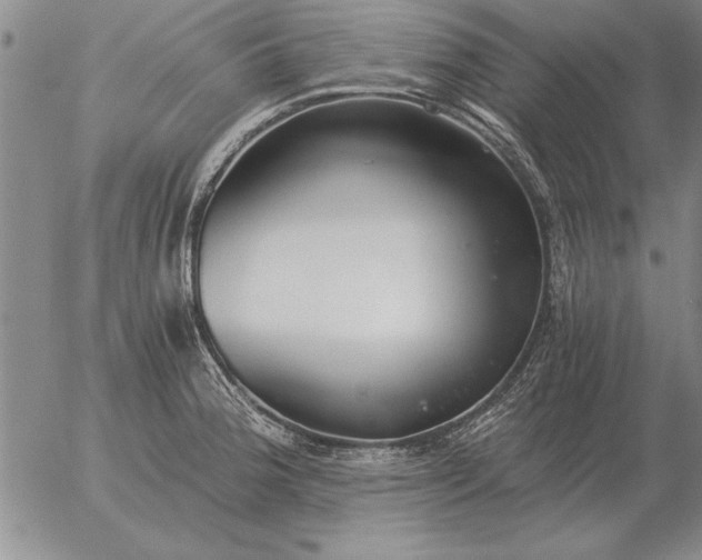 X0000056031188200509021814