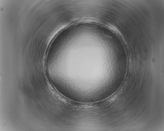 X0000056031190200509021814