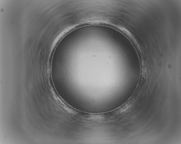 X0000056031191200509021814