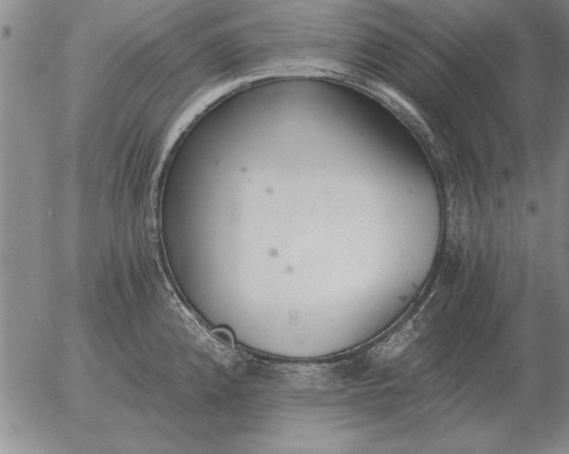 X0000056031192200509021814