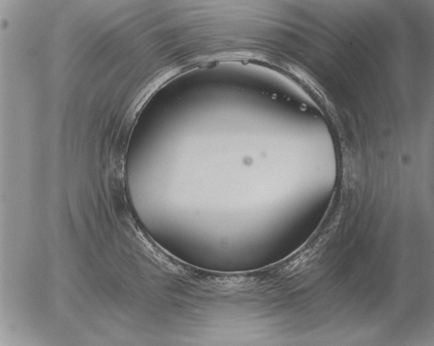 X0000056031193200509021814