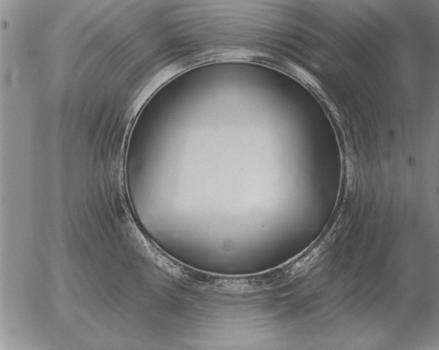 X0000056031194200509021814