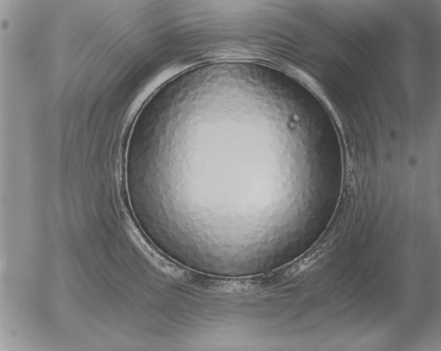 X0000056031195200509021814