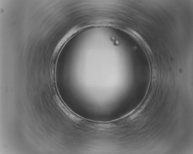 X0000056031196200509021814