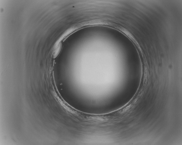 X0000056031197200509021813