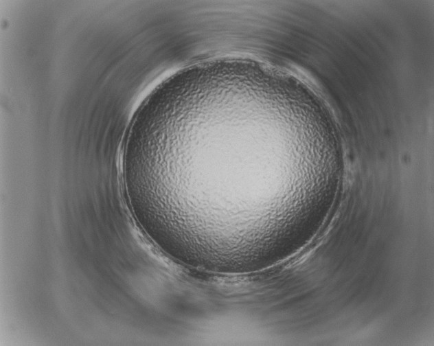 X0000056031198200509021813