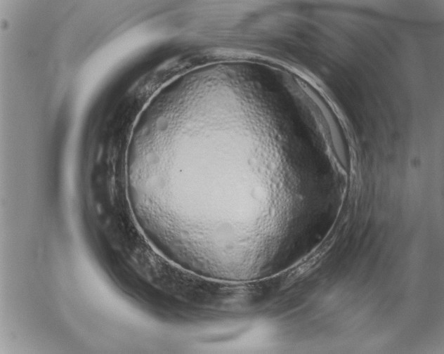 X0000056031199200509021813