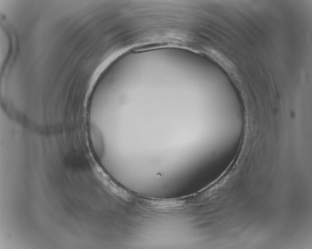 X0000056031200200509021813