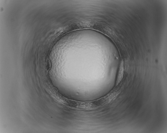 X0000056031201200509021813