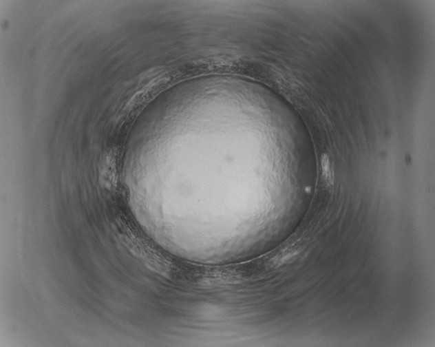 X0000056031203200509021813