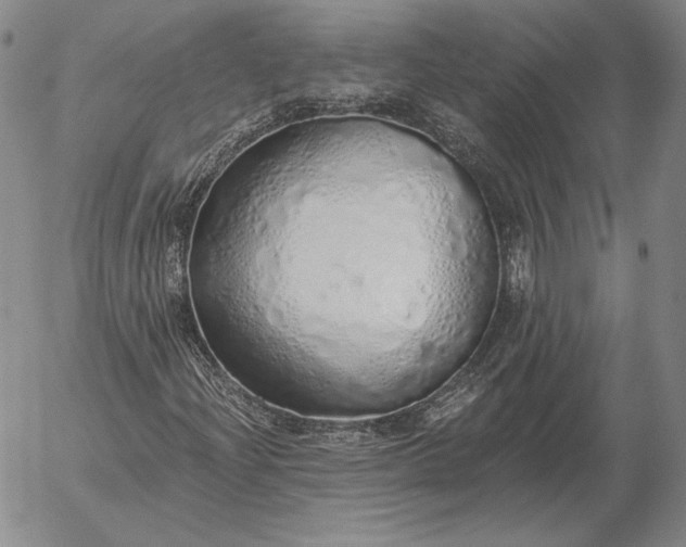 X0000056031204200509021813