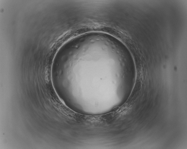 X0000056031205200509021813