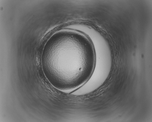 X0000056031206200509021813