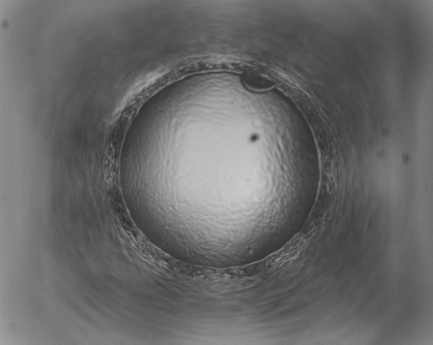 X0000056031207200509021813