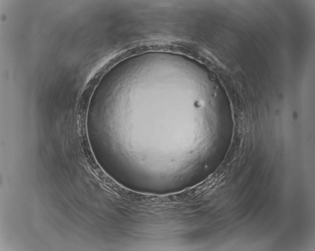 X0000056031208200509021813