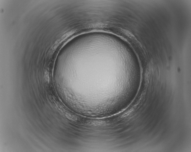 X0000056031209200509021813