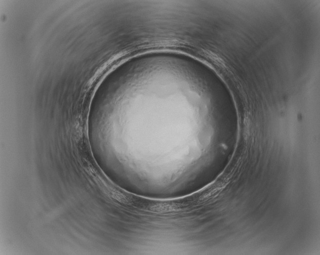 X0000056031212200509021813