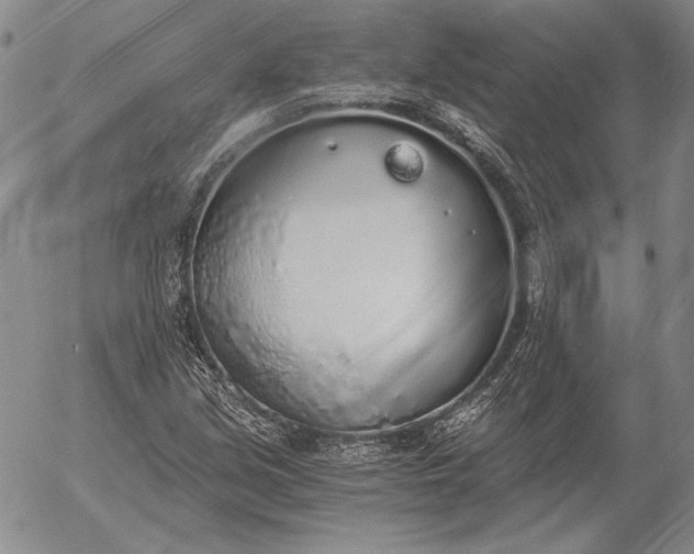 X0000056031213200509021813