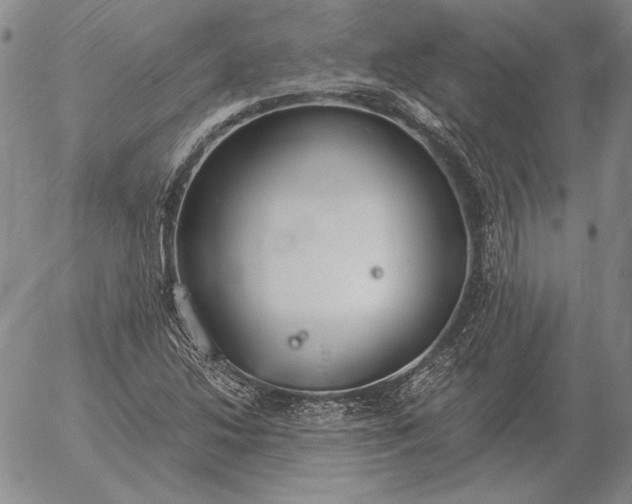 X0000056031214200509021813