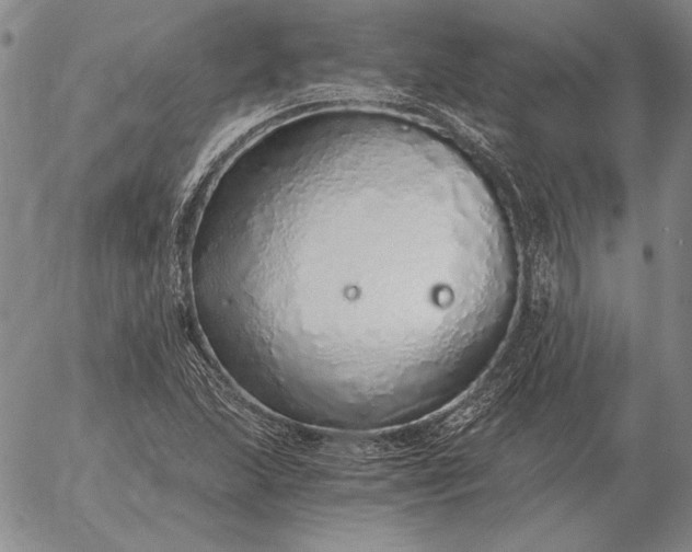 X0000056031215200509021813