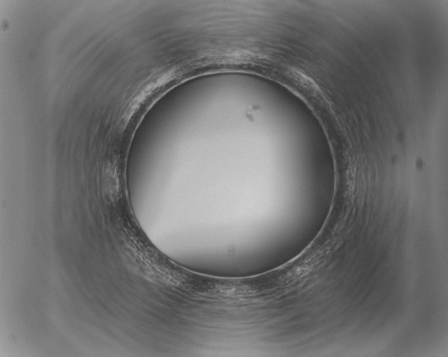 X0000056031218200509021813